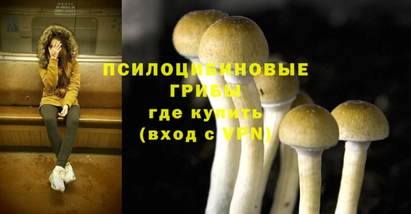 крисы Абдулино