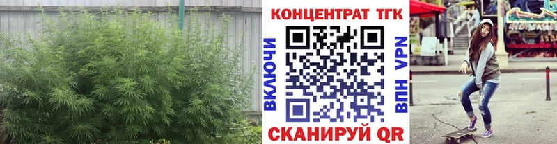 сколько стоит  Мосальск  блэк спрут вход  Дистиллят ТГК жижа 