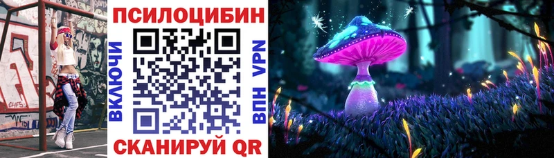 Галлюциногенные грибы GOLDEN TEACHER  продажа наркотиков  Мосальск 